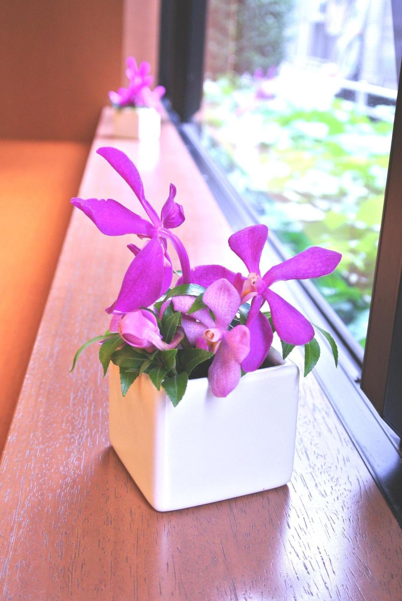 Almont Inn Tokyo Nihonbashi Екстериор снимка